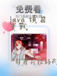 java 项目实战