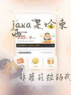 java是啥东西