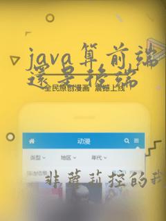 java算前端还是后端