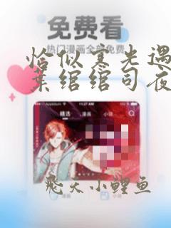 恰似寒光遇骄阳叶绾绾司夜寒类似小说