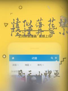 情似落花烬成雪陆怀舟宁小婉大结局哪里看