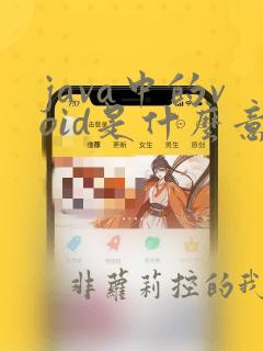java中的void是什么意思
