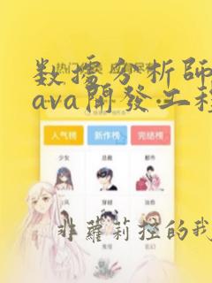 数据分析师和java开发工程师
