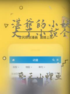 湛爷的小妖精长大了小说全文免费阅读