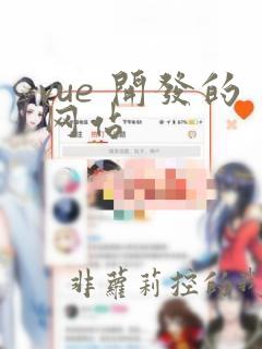 vue 开发的网站