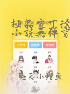 极品家丁徐芷晴小说无弹窗无广告