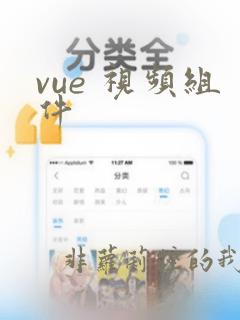 vue 视频组件