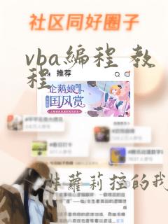 vba编程 教程