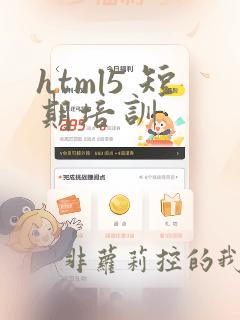html5 短期培训