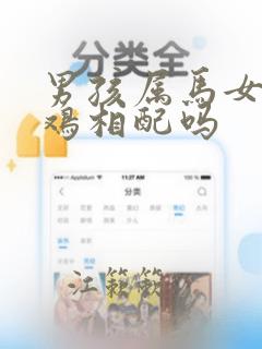男孩属马女孩属鸡相配吗