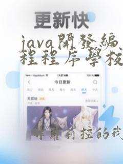 java开发编程程序学校
