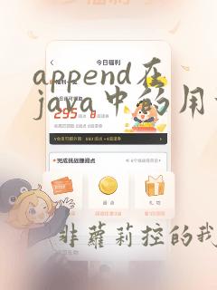 append在java中的用法
