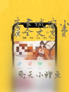 唐聿城安小兔小说全文免费阅读