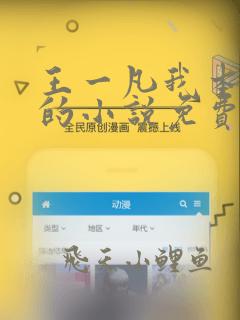 王一凡我本风流的小说免费阅读笔趣阁