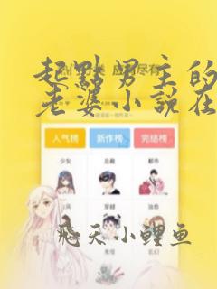 起点男主的笨蛋老婆小说在线阅读无弹窗