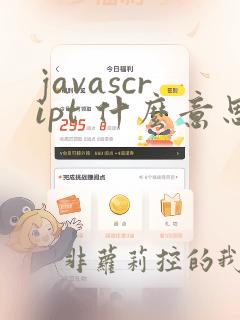 javascript 什么意思