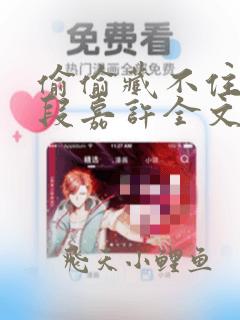 偷偷藏不住桑稚段嘉许全文阅读免费