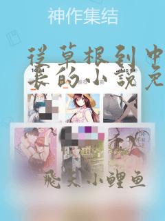 从草根到中央首长的小说免费阅读