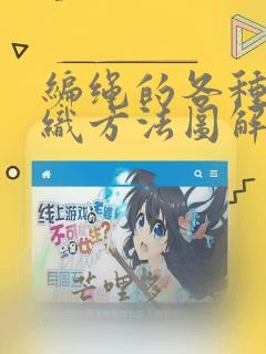 编绳的各种结编织方法图解