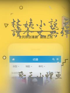 林姨小说免费阅读全文无弹窗最新章节