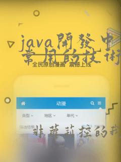 java开发中常用的技术