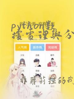 python数据处理与分析教程