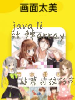 java list 转array