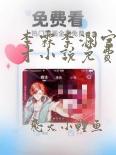 李霖李澜官场奇才小说免费阅读