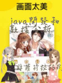 java开发和数据分析