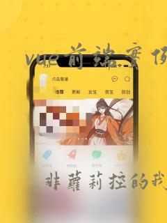 vue前端实例