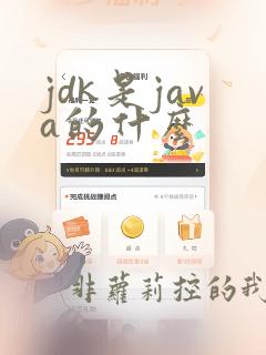 jdk是java的什么