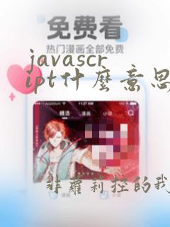 javascript什么意思