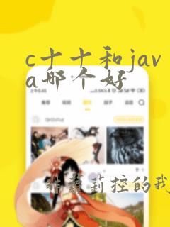 c十十和java哪个好