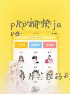 php调用java