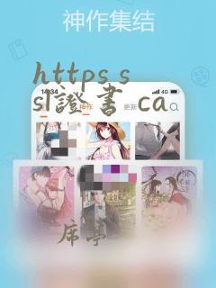 https ssl证书 ca
