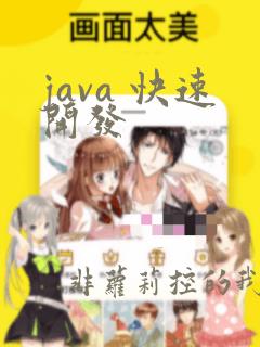java 快速开发