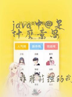 java中@是什么意思