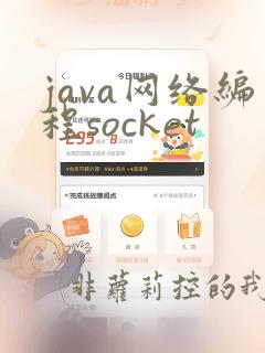 java网络编程socket