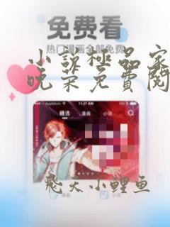 小说极品家丁林晚荣免费阅读全文无窗口