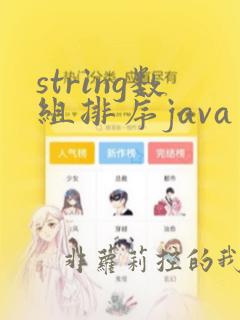 string数组排序java