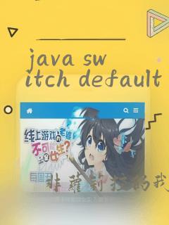 java switch default