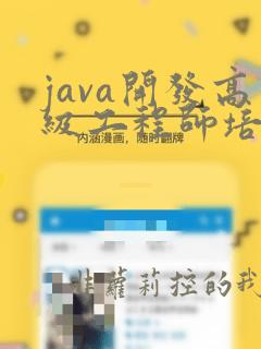 java开发高级工程师培训
