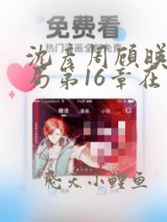 沈彦周顾映瑜结局第16章在线阅读