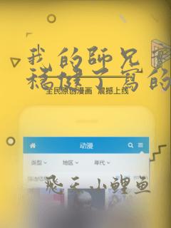 我的师兄实在太稳健了写的什么