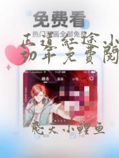 正道红途小说李初年免费阅读无弹窗