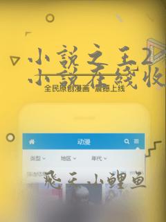 小说之王2有声小说在线收听