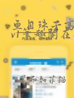 鱼目珠子高干1v1笔趣阁在线阅读