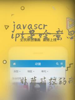 javascript是啥意思