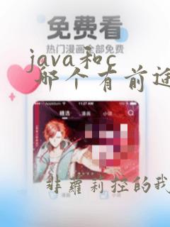 java和c  哪个有前途