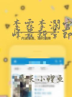 李霖李澜官场巅峰最新章节列表
